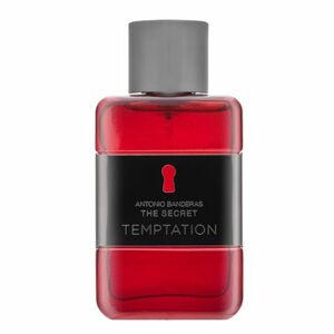 Antonio Banderas The Secret Temptation toaletná voda pre mužov 50 ml